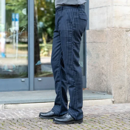 Scarti Lab Hosen>Wool Pants 101 Blue Striped